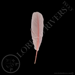spatule-rose-plume-d-ailes-type-2-lords-