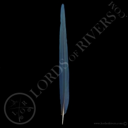 hyacinthe-macaw-side-tails-feather-lords