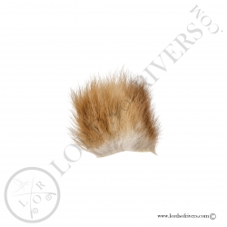 beech-marten-fur-on-skin-lords-of-rivers