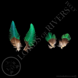 quetzal-resplendissant-set-de-2-paires-d