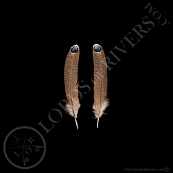 paired-single-eyed-feather-germain-s-pea