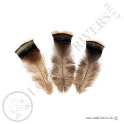 ozark-wild-turkey-batch-body-feathers-st