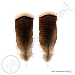 ozark-wild-turkey-paired-cover-tails-lor