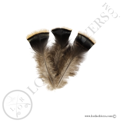 ozark-wild-turkey-batch-body-feathers-lo