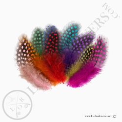 pintade-colorees-20-plumes-de-corps-hand
