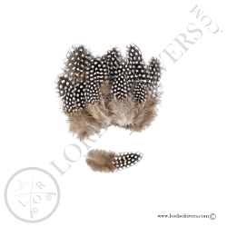 guinea-fowl-20-body-feathers-hand-select