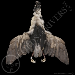 heron-bihoreau-full-skin-lords-of-rivers