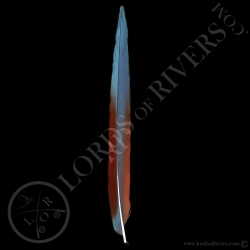 red-and-green-macaw-side-tail-lords-of-r