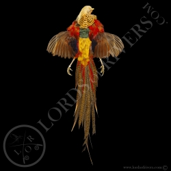 golden-pheasant-full-skin-lords-of-river