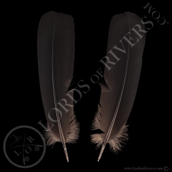 cacatoes-de-banks-grade-a-paire-de-plume