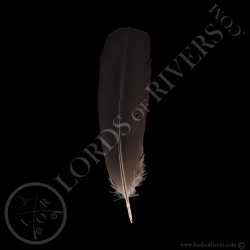 cacatoes-de-banks-grade-a-plumes-de-queu