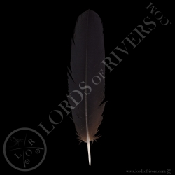 cacatoes-de-banks-grade-b-plumes-de-queu
