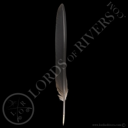 grue-couronnee-grise-plume-wing-cover-ty