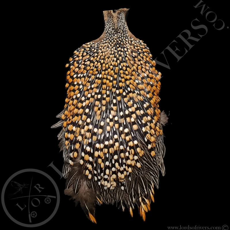 Grey Junglefowl Cap - Lords Of Rivers