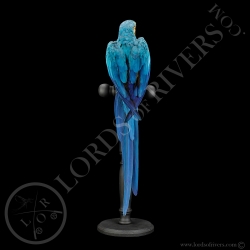 Ara Ararauna- Ara Bleu et Jaune - Taxidermie - Lords Of Rivers